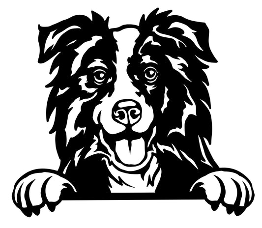 Border Collie - Wanddecoratie