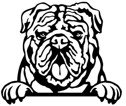 Engelse Bulldog - Wanddecoratie