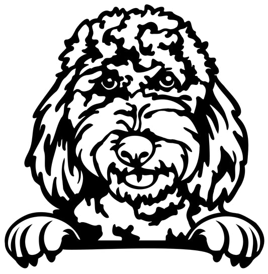 Labradoodle - Wanddecoratie